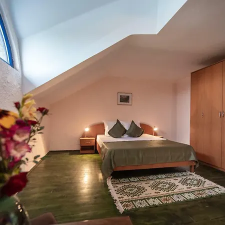 Casa Parmac בית הארחה Visina